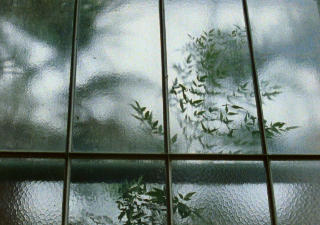 Sheets of textured glass through which plants and clouds faintly appear.