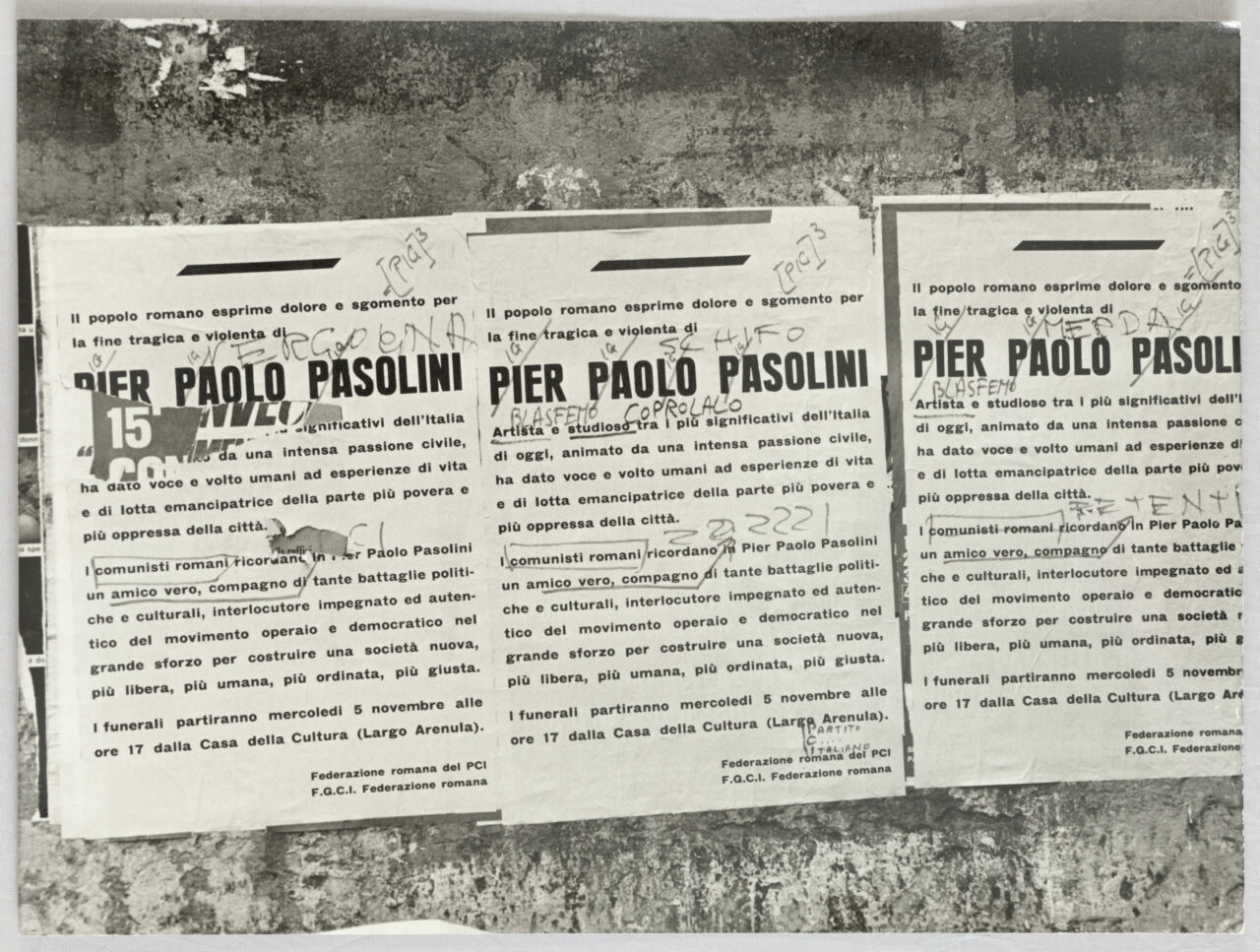 Three posters with information about Pier Paolo Pasolini, labeled and mounted on a wall.