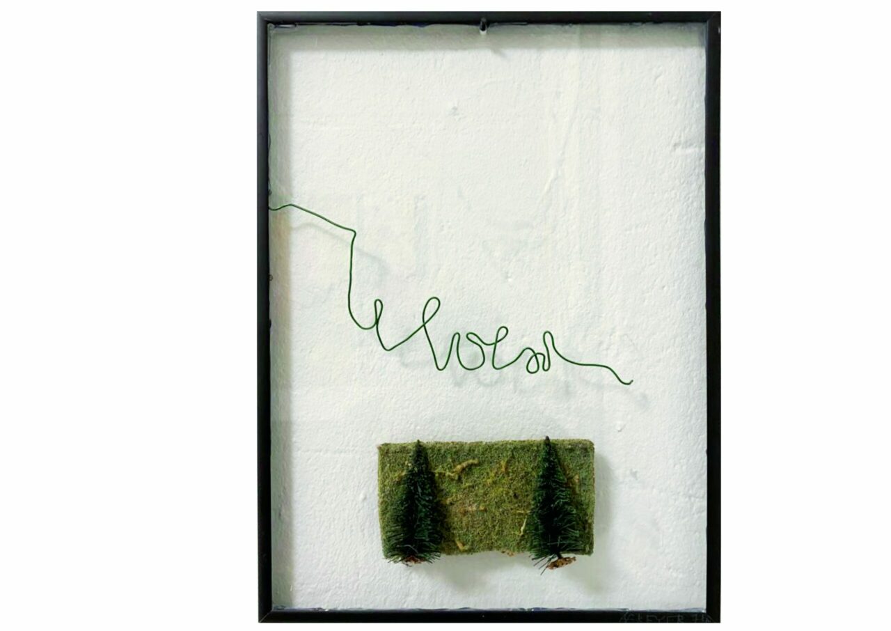 Creative image with green wire lettering and moss depicting two small fir trees, in a black frame.