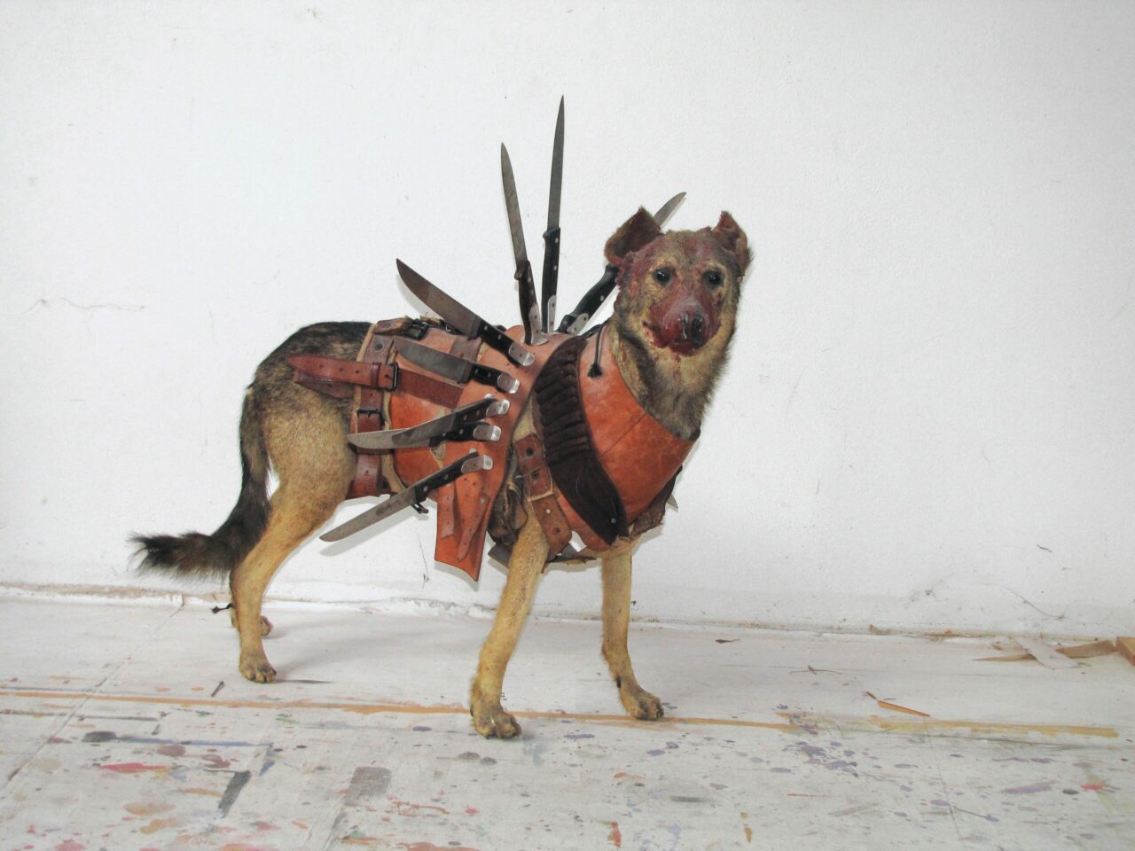 A dog wears an unusual, artistic costume with feathers and leather details.